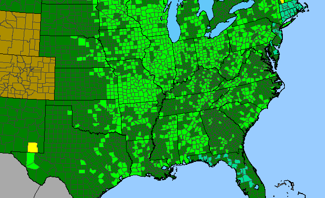 The range of Physostegia virginiana ssp. praemorsa